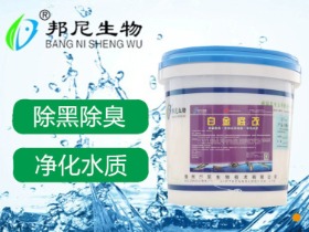 白金底改