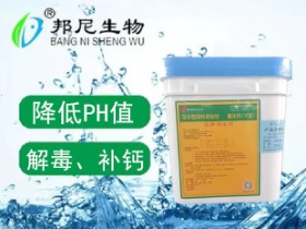 泡腾活性钙