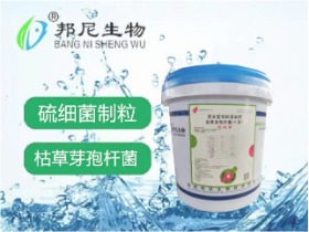 脱硫菌