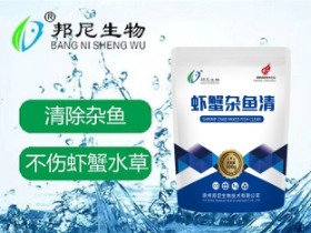 虾蟹杂鱼清